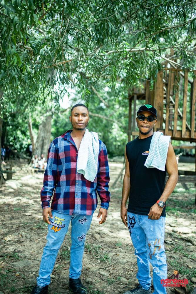 Forest community