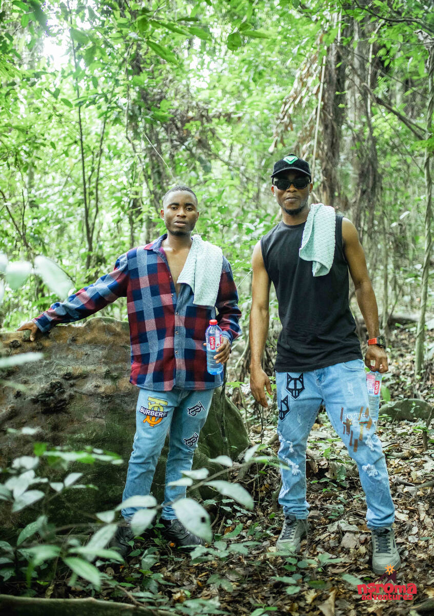 Forest hike